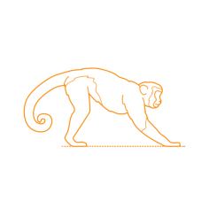 Animals New World Monkeys Tufted Capuchin Outline Svg Vector, Free Vectors File